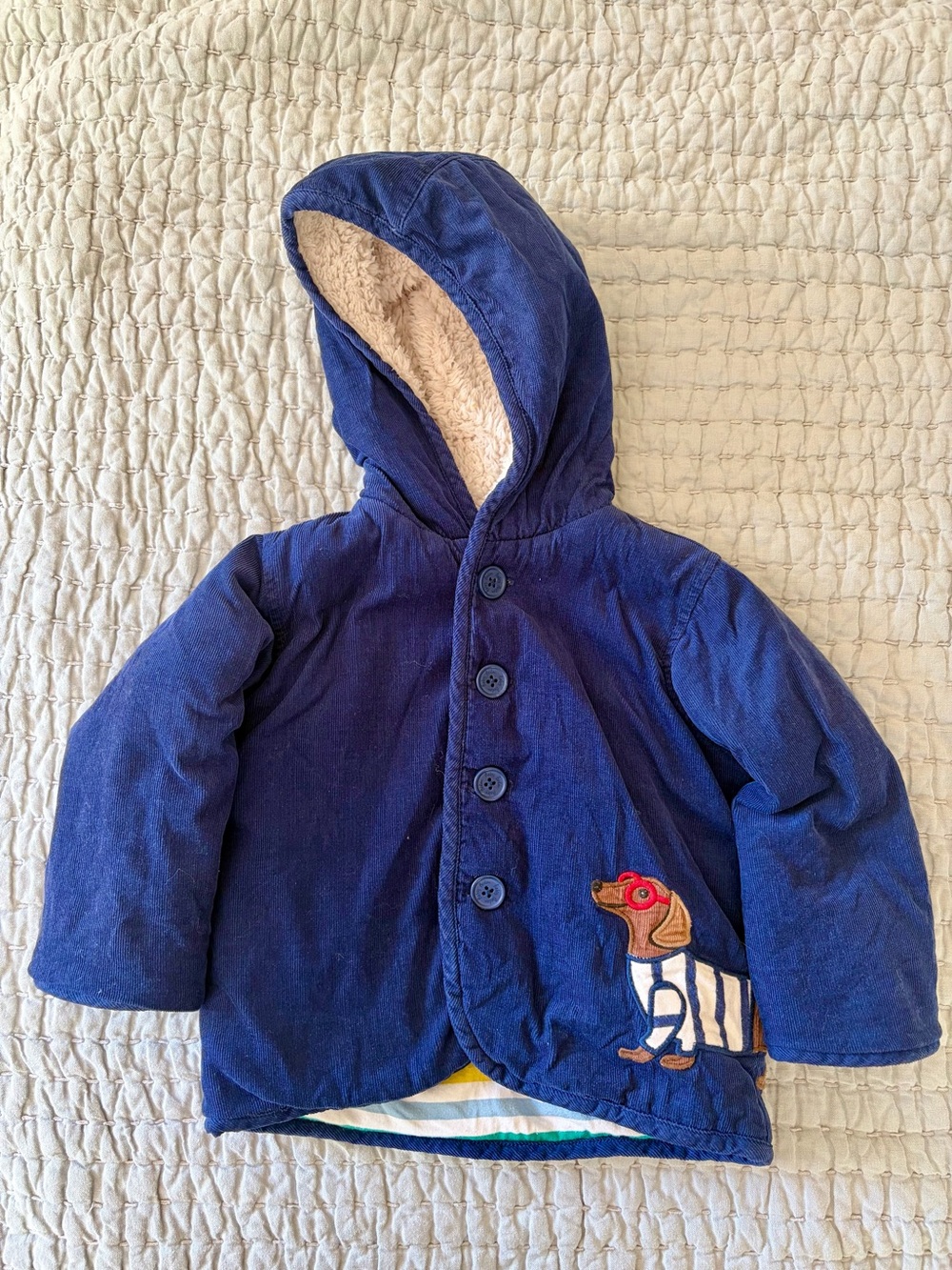 VGUC Baby Boden Corduroy Puppy Jacket - Size 18-24m